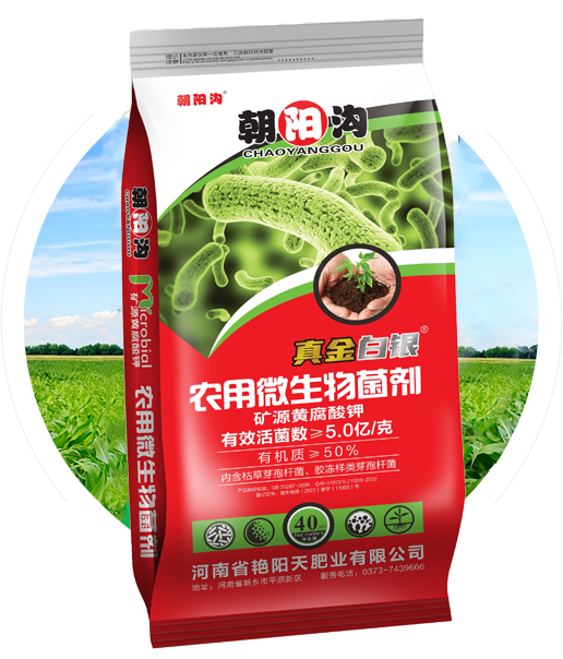 朝陽(yáng)溝生物有機(jī)肥